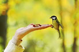 Что такое доверие в целом и как снова научиться доверять