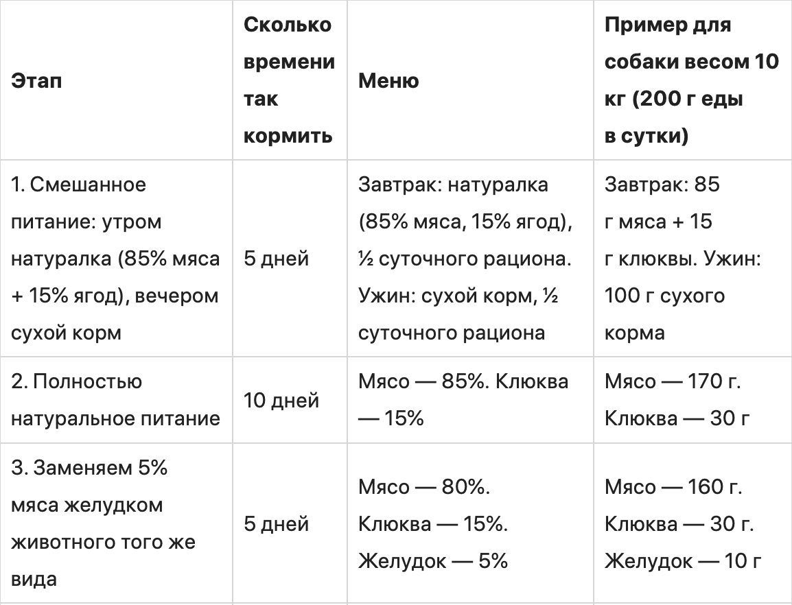 Как правильно перевести собаку на натуральное питание