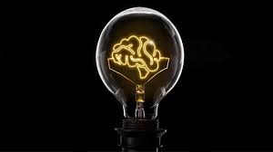 The Impact of Neuroscience on Personal and Organizational Performance