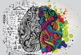 The Impact of Neuroscience on Personal and Organizational Performance