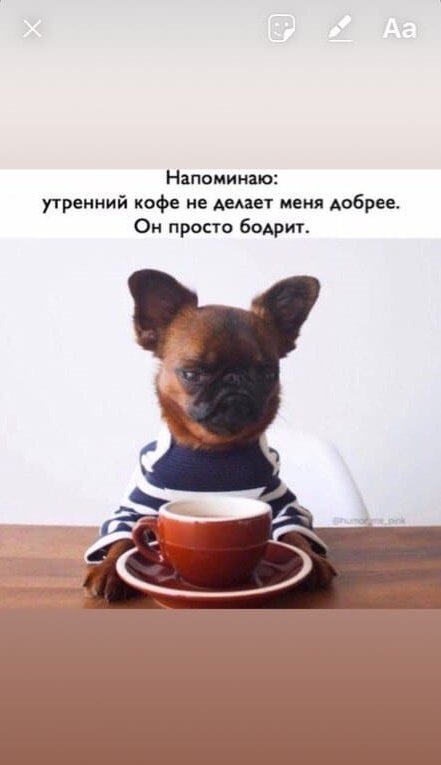 Сторис в Инстаграм: инструкция + 22 фишки вовлечения