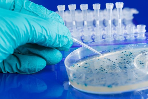 Which Main Instruments Will You Find in A Microbiology Laboratory?