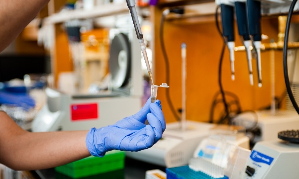 Which Main Instruments Will You Find in A Microbiology Laboratory?