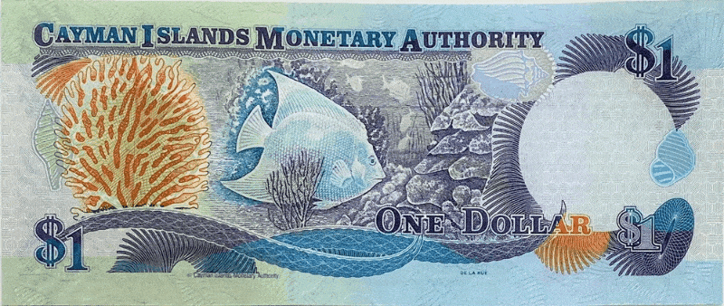 Самая дорогая и самая дешевая валюта в мире: что нужно знать перед покупкой