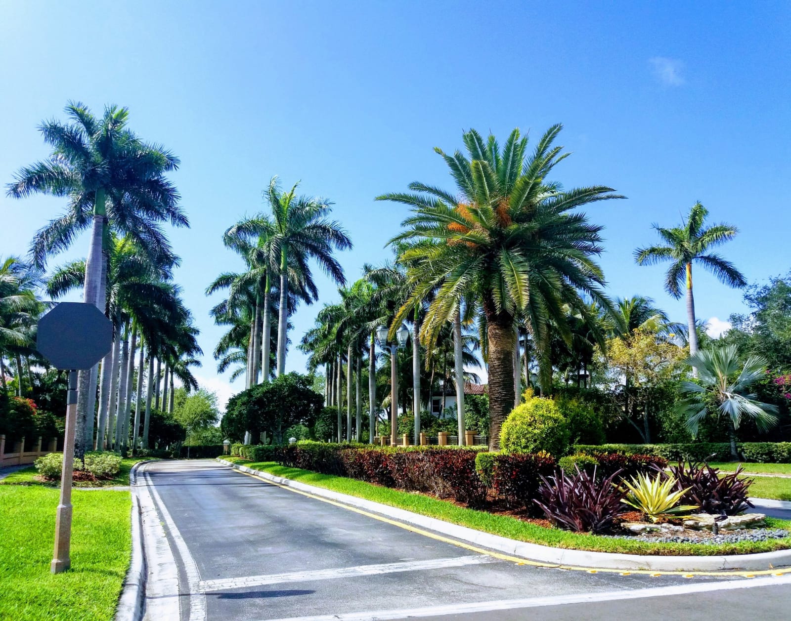 Я выиграл грин-карту: что делать дальше