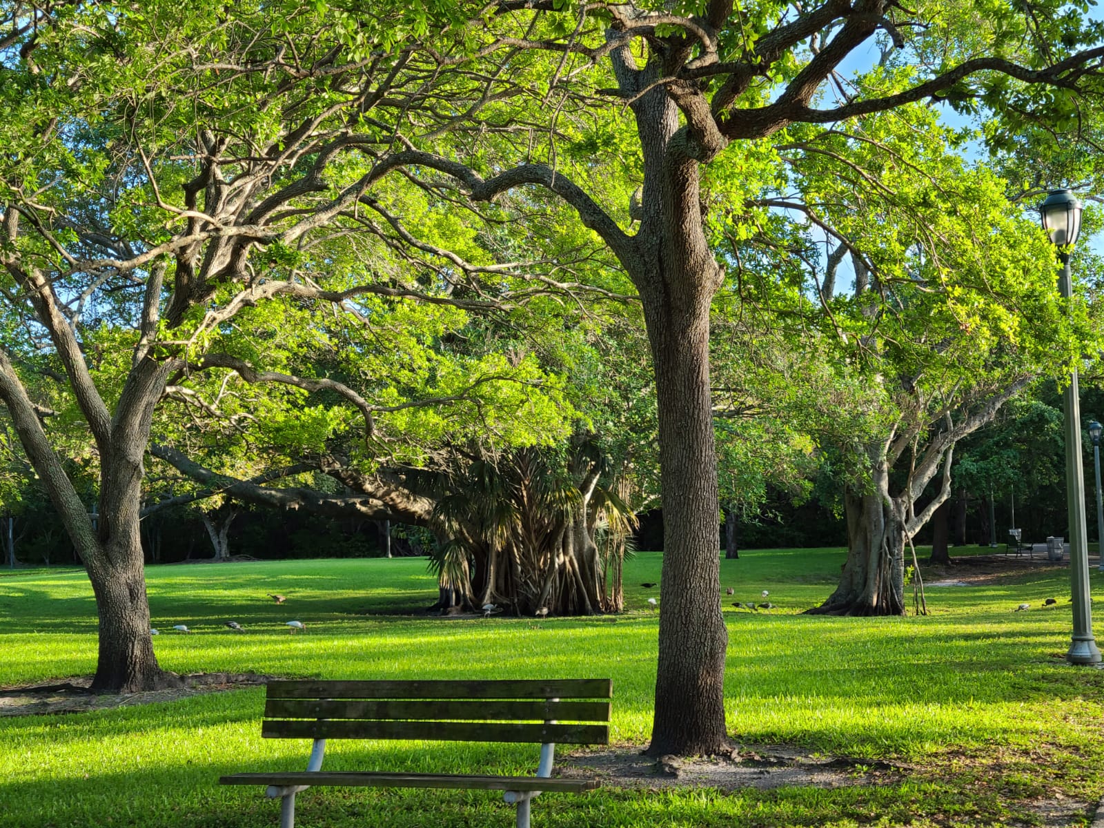 Я выиграл грин-карту: что делать дальше