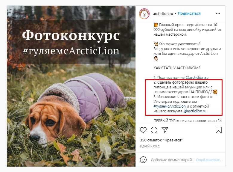 Как продвинуть конкурс в инстаграм
