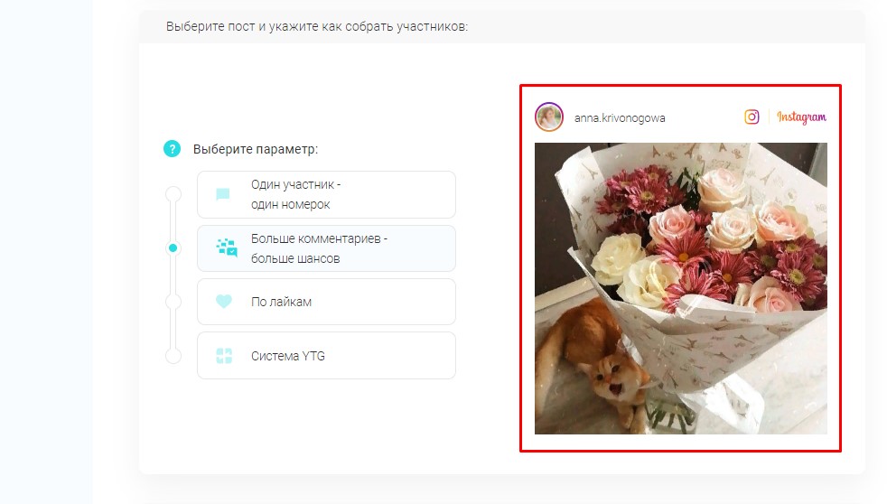 Как продвинуть конкурс в инстаграм