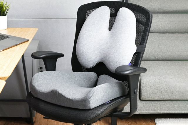 Top Most Popular Office Chair Cushion You Should Have in Your List