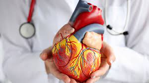 Things You Should Know Before Finding The Best Cardiologist