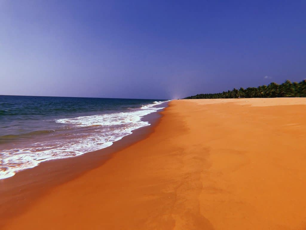 Сколько стоит аюрведа в Индии