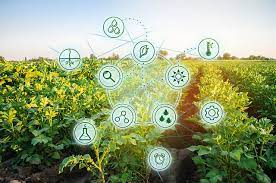Uses of Big Data in Agriculture