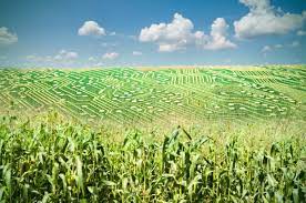Uses of Big Data in Agriculture