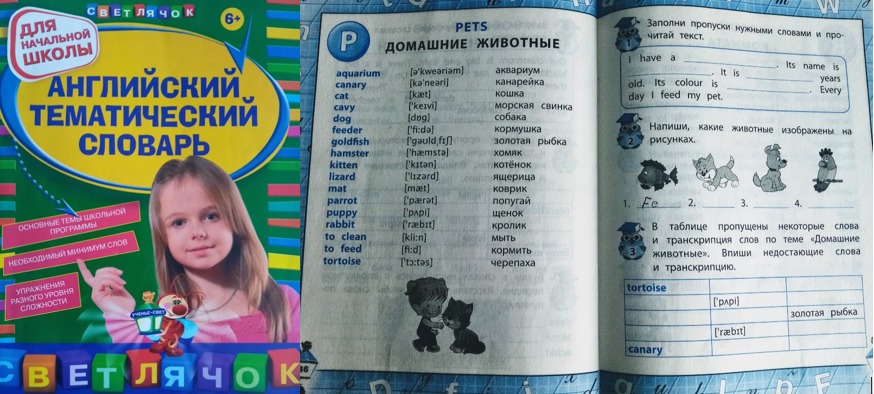 Как учить английский вне школы