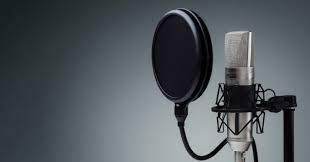 Want To Do A Professional Voice Over?