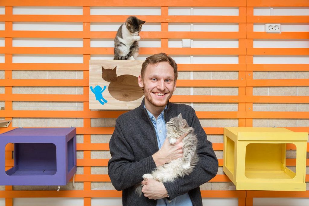 Благотворительный стартап: 7 бизнес-практик, которые сделали сервис помощи бездомным животным устойчивым