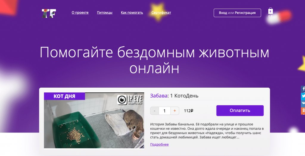 Благотворительный стартап: 7 бизнес-практик, которые сделали сервис помощи бездомным животным устойчивым