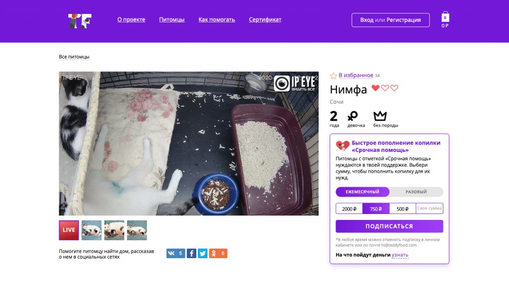 Благотворительный стартап: 7 бизнес-практик, которые сделали сервис помощи бездомным животным устойчивым