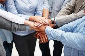 Благотворительный стартап: 7 бизнес-практик, которые сделали сервис помощи бездомным животным устойчивым