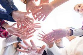 Благотворительный стартап: 7 бизнес-практик, которые сделали сервис помощи бездомным животным устойчивым