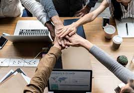 Благотворительный стартап: 7 бизнес-практик, которые сделали сервис помощи бездомным животным устойчивым