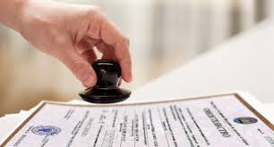 Какой код ОКВЭД выбрать для регистрации бизнеса