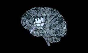 Что такое инстинкт?