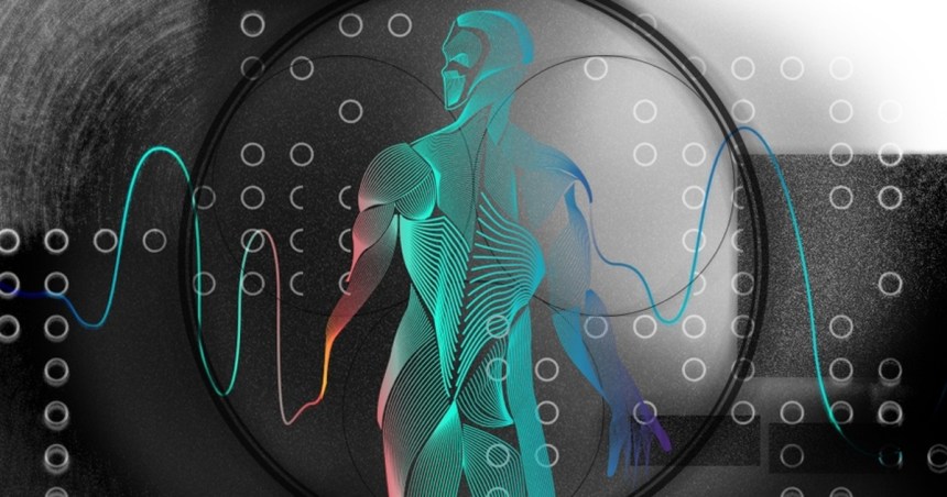 Best 5 Mental Exercises to Improve Emotional Fitness