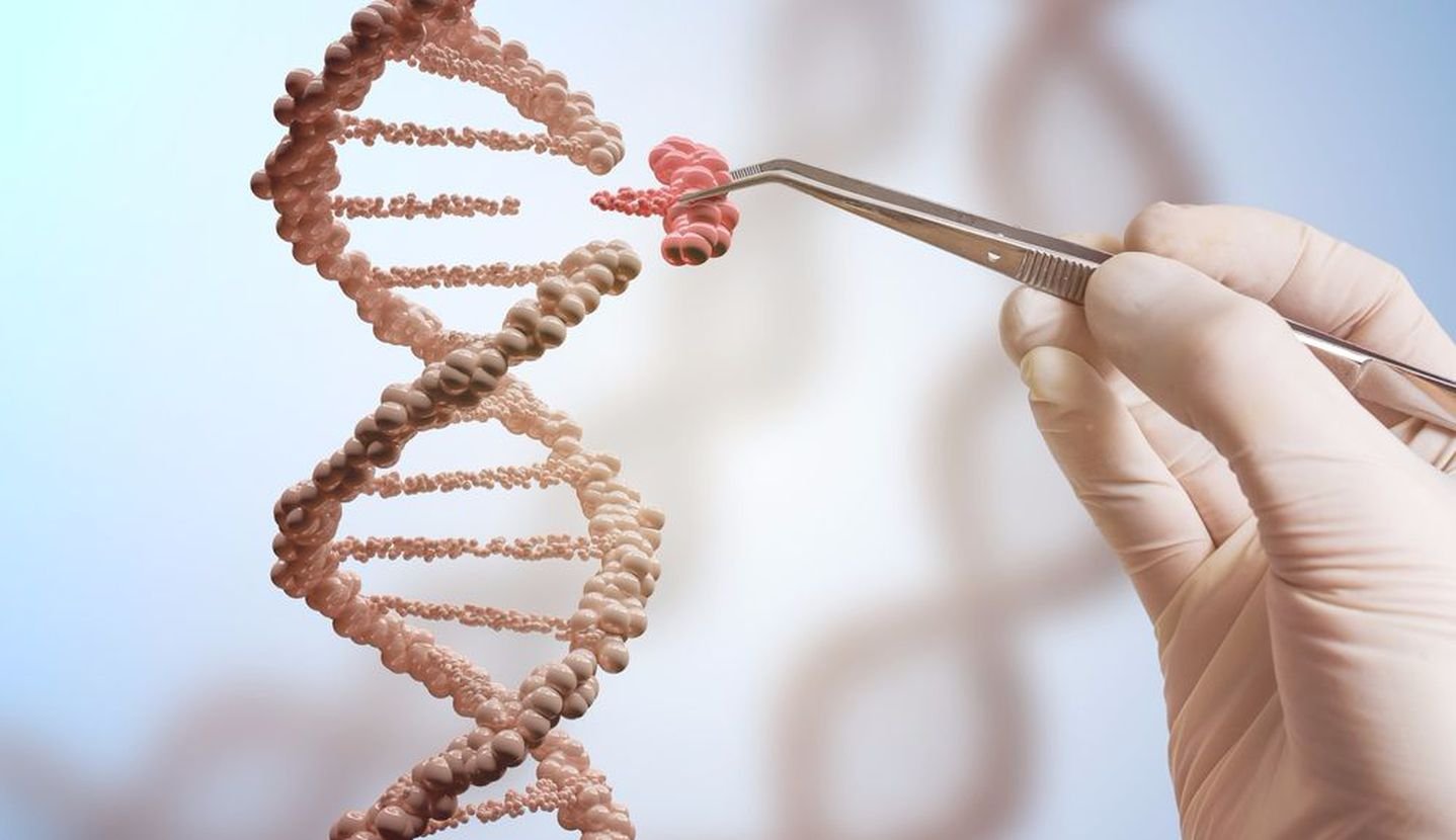 Что такое рефлекс?