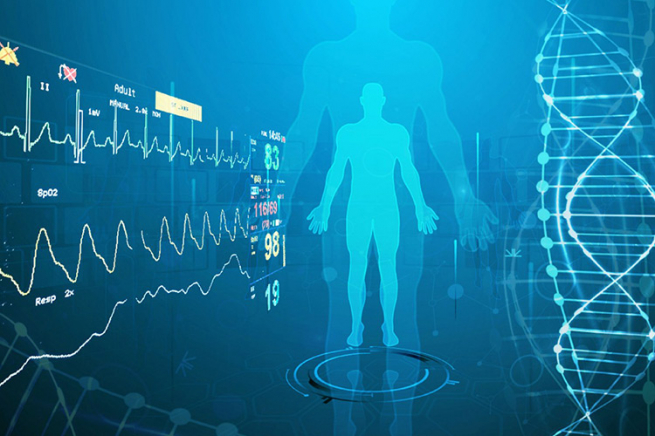 Snapinsta – Best Instagram Content Downloads