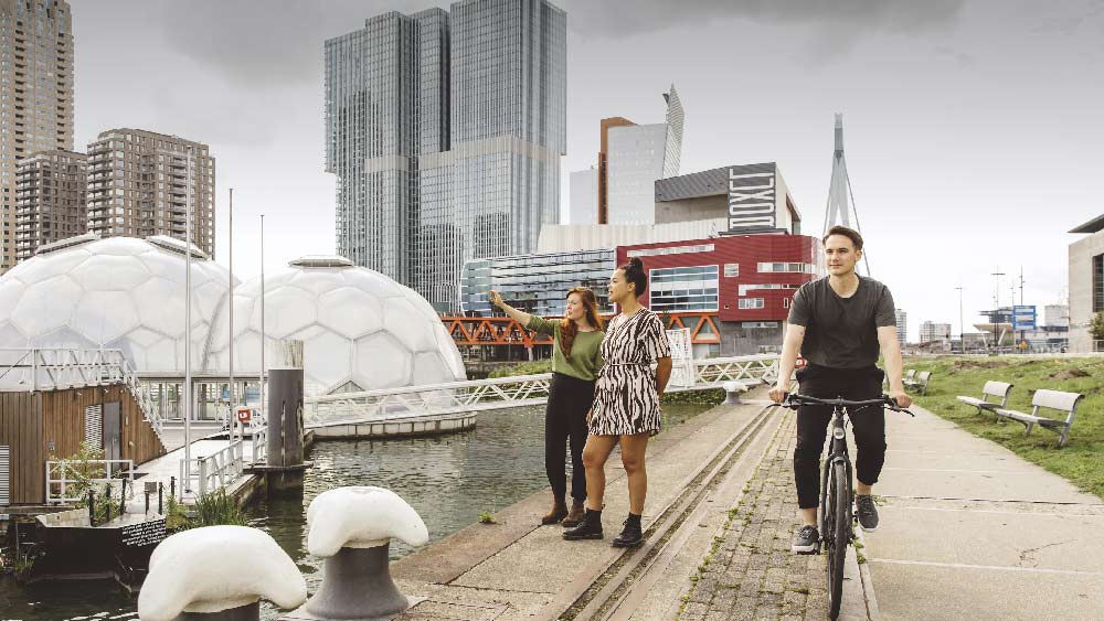 Кто такой меланхолик: общая характеристика, плюсы и минусы + рекомендации для людей этого типа