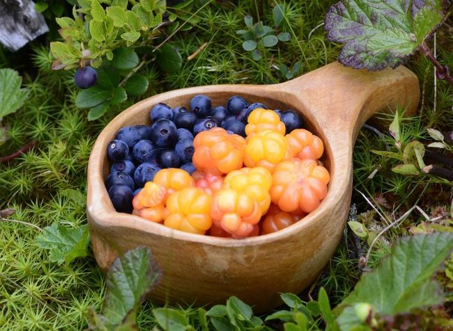 Ягода голубики в кастрюле, еда и фрукт, продукт растения для готовки.