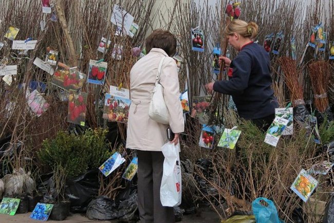 Рекламный постер с человеком, сумкой, растением, одеждой, перчаткой и мобильным телефоном.