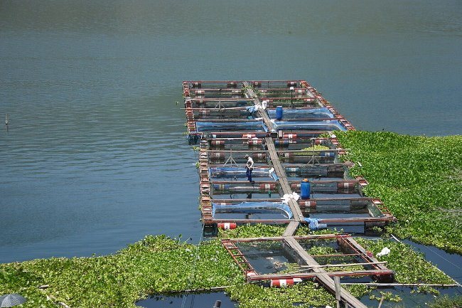 Баржа на воде с человеком - транспортное средство на фоне водной гладины.