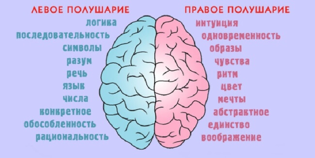 Человеческое лицо и голова человека - описание изображения для SEO.
