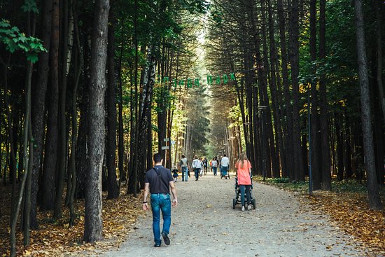 Прогулка в парке по тропинке среди деревьев, леса и зеленой травы.