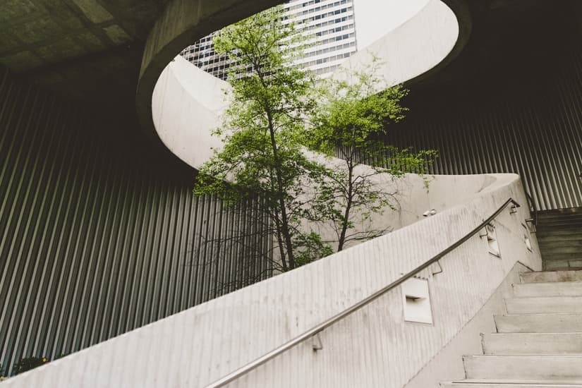 How to Incorporate Sustainability as a Business