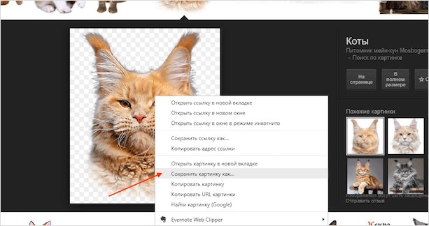 Как самому сделать стикеры для Telegram