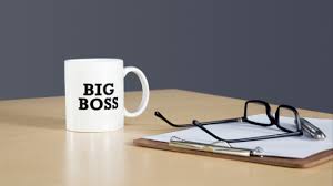 Case Study: How start-ups and freelancers are generating leads from Instagram to expand their business