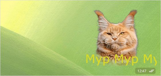 Как добавить стикеры в Telegram: пошаговая инструкция