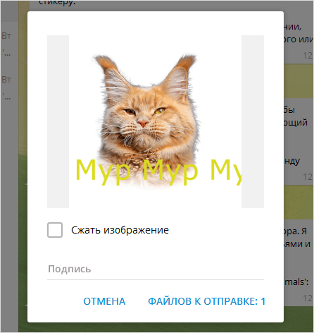 Как добавить стикеры в Telegram: пошаговая инструкция