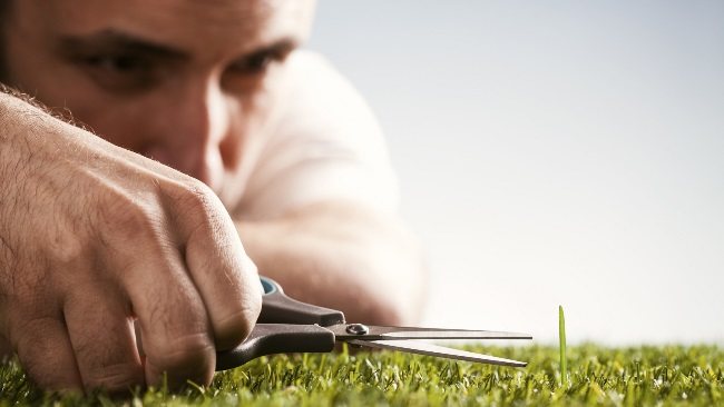 Кто такой флегматик: особенности типа, плюсы и минусы + совместимость с другими темпераментами