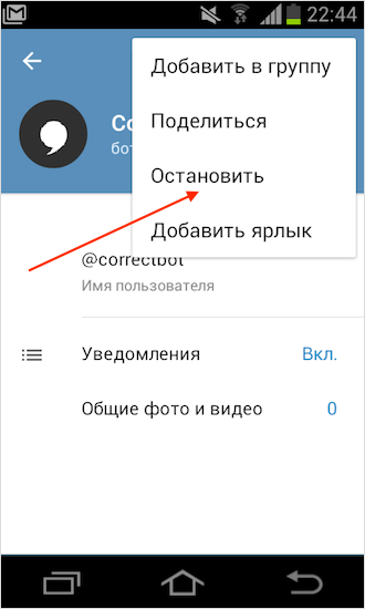 Полезные боты для Telegram: топ-30 лучших
