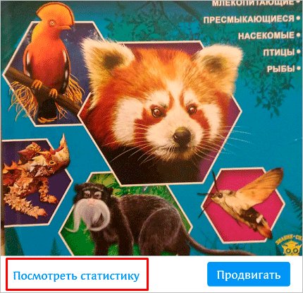 Как посмотреть статистику в Инстаграме при помощи бизнес-аккаунта и специальных сервисов