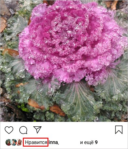 Как посмотреть свои и чужие лайки в Инстаграме