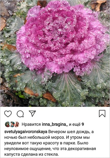 Как подписать фото в Инстаграме, чтобы привлечь внимание подписчиков