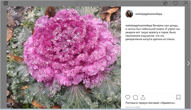 Как сохранить фото из Инстаграма: 6 способов скачивания изображений на компьютер и в телефон