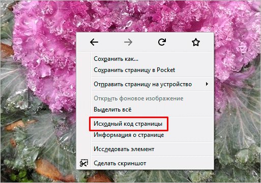 Как сохранить фото из Инстаграма: 6 способов скачивания изображений на компьютер и в телефон