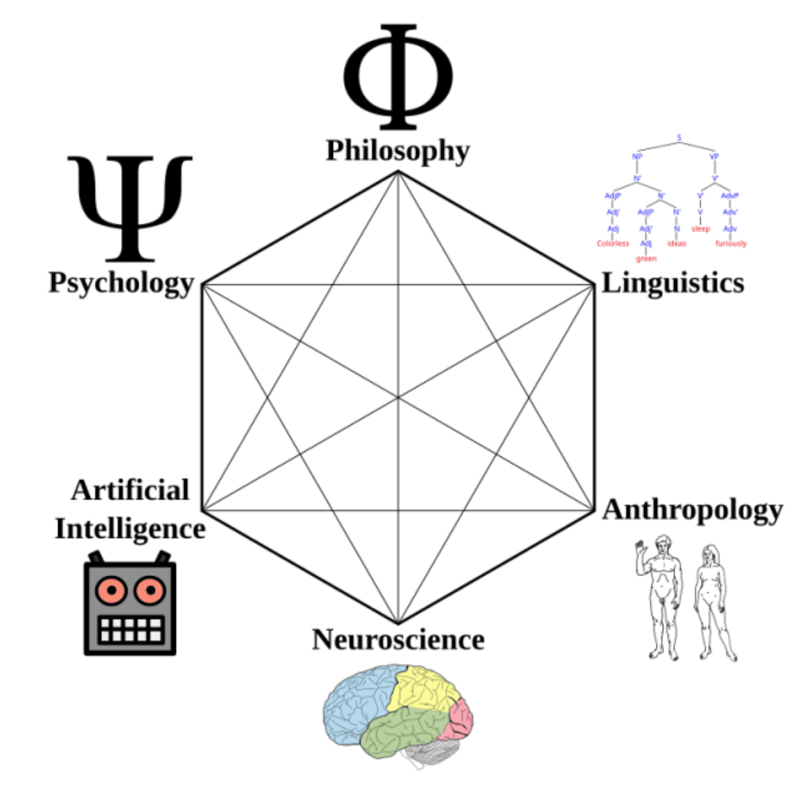 Что такое когнитивистика простыми словами, что изучает и зачем нужна