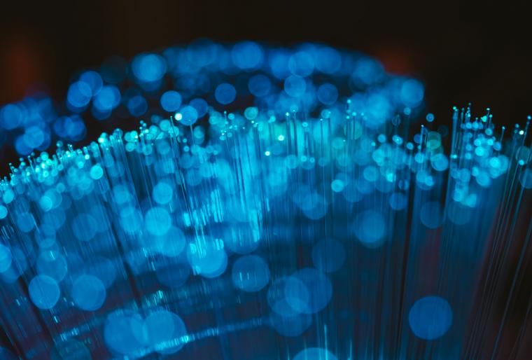 Turning Data Into Brand Devotion For Business Longevity